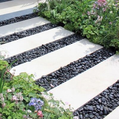 Black Polished River Pebbles