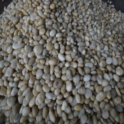 Off-White Polished River Pebbles